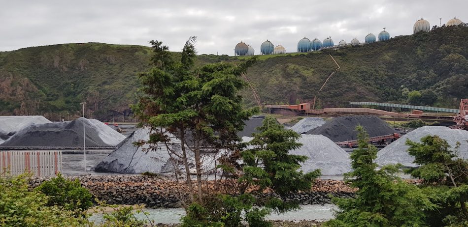 Coordinadora Ecoloxista d’Asturies: «Nos preocupa un nuevo parque de carbones en el puerto del Musel en Aboño en Carreño»