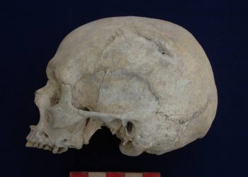 El punto más álgido de la violencia entre humanos habría ocurrido hace unos 6.000 años