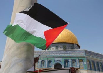 IU lleva una moción a los ayuntamientos que insta a una “condena firme de la guerra de ocupación de Israel contra Palestina y el asesinato de civiles por cualquier bando”