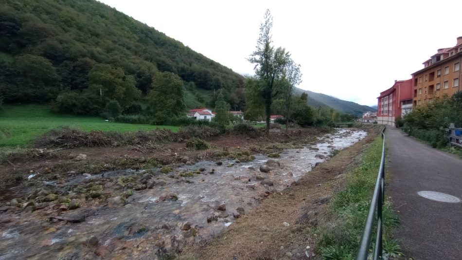 Arrasan con todo el bosque de ribera del río San Isidro en Felechosa en Aller (Asturias)