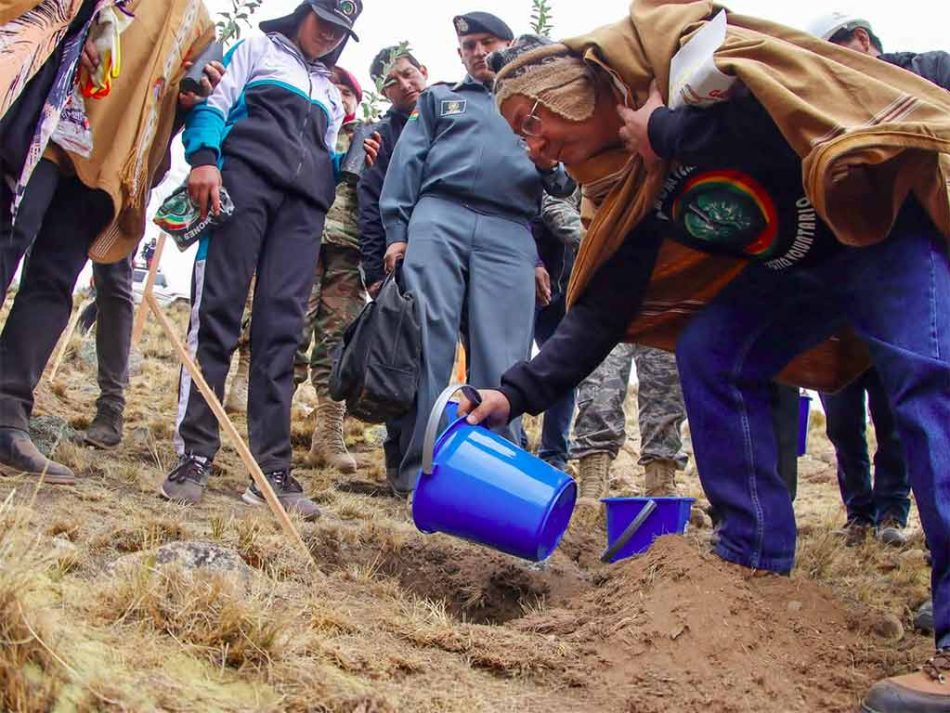 Pulmones Verdes de Bolivia combaten crisis climática