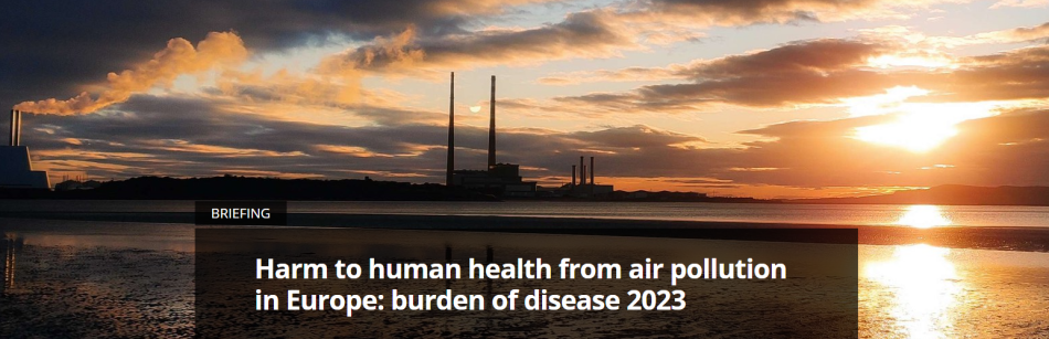 La Agencia Europea de Medio Ambiente ha publicado el informe «Daños a la salud humana por la contaminación del aire en Europa», con unos datos de mortalidad que son devastadores