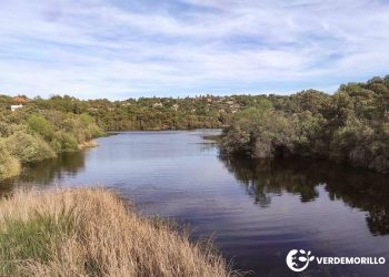 El Ayuntamiento de Valdemorillo desafía al Defensor del Pueblo y persiste en no facilitar información ambiental