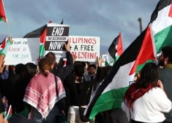 Continúan las movilizaciones en apoyo a Palestina