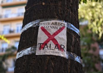 Este sábado, tres manifestaciones simultáneas rechazarán las talas de árboles y defenderán un Madrid más sostenible