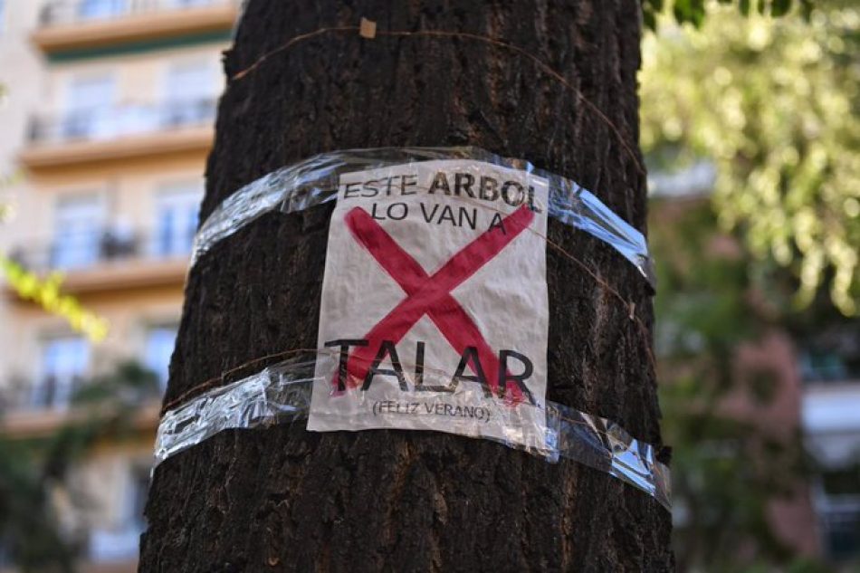 Este sábado, tres manifestaciones simultáneas rechazarán las talas de árboles y defenderán un Madrid más sostenible