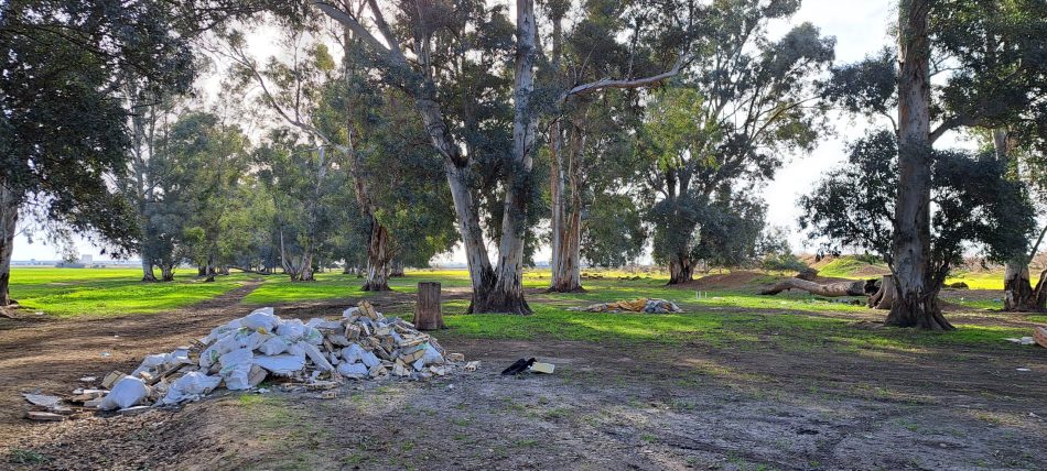 Ecologistas en Acción Sevilla: «El entorno del la laguna del Sapo necesita ser conservado»