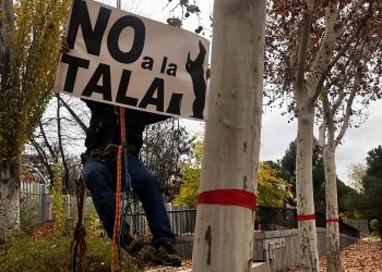 Vecinos y colectivos ecologistas salen a la calle para paralizar la tala de árboles que ha empezado en Madrid Río