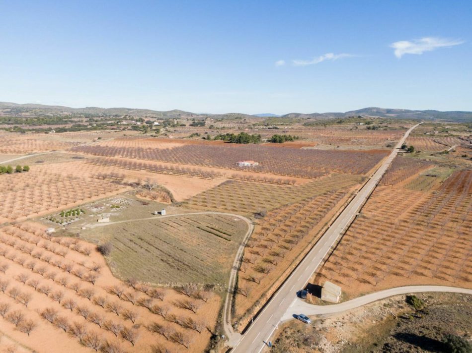 Presentan alegaciones a la macroplanta solar ‘Valentía Edetanotum FV3’ proyectada en Alcublas