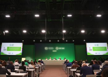 Alianza Verde considera insuficiente el acuerdo alcanzado en la COP28 y pide al gobierno una fecha para el final de los combustibles fósiles en España