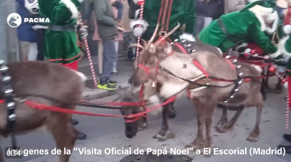 PACMA denuncia la utilización de renos en una visita de Papá Noel en El Escorial