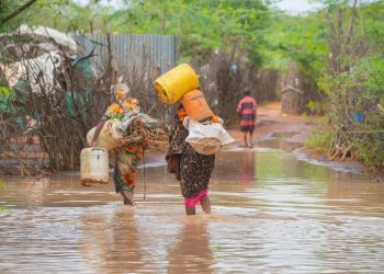 ACNUR pide una acción global urgente en la COP28, destacando el impacto del cambio climático en la crisis de desplazamiento