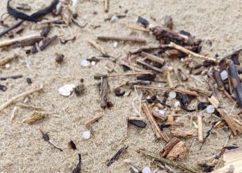 Coordinadora Ecoloxista: «Toda la costa asturiana llena demicro plásticos una vez más»