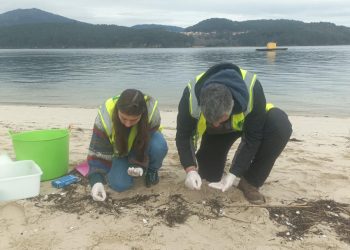 Vertido de pellets: Las organizaciones ecologistas reclaman más coordinación en la respuesta y transparencia sobre su impacto ambiental