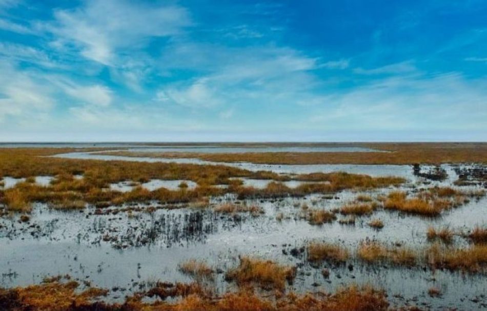 “¡Restaurar la naturaleza!”, el grito unánime por la recuperación de las zonas húmedas con motivo del Día Mundial de los Humedales