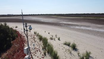 Alianza Verde y Podemos piden medidas a la Comisión Europea para frenar la sobreexplotación del agua en Doñana