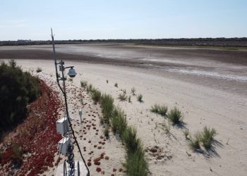 Doñana hace balance del 2023: sequía, altas temperaturas y claros declives de especies