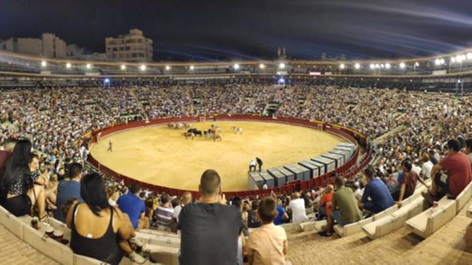 PACMA presenta una demanda por la presencia de menores en corridas de toros durante las Fallas de Valencia