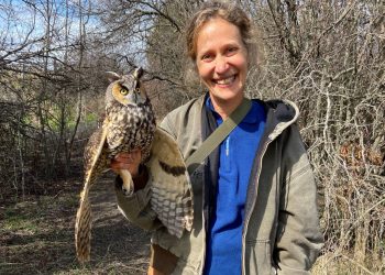 Jennifer Ackerman, escritora y divulgadora científica: “Es posible que los búhos sean muy inteligentes, pero de una forma que no podemos apreciar ni medir”