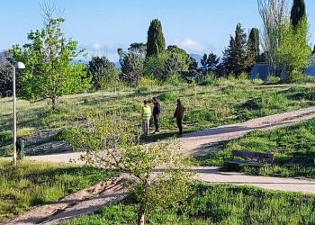 La Asociación Vecinal de Montecarmelo rechaza la última ocurrencia del Ayuntamiento: mantener el cantón en su ubicación actual y llevar el SELUR a su ubicación anterior en Arroyofresno