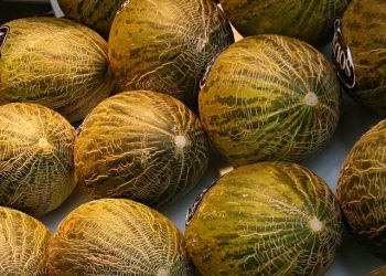 Alertan de la presencia de residuos de pesticida por encima de lo permitido en melones procedentes de Marruecos