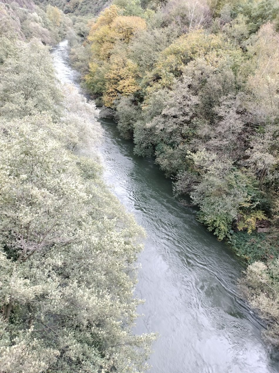 El próximo domingo comienza la temporada de pesca con muerte de salmón en los ríos asturianos, temporada que se cerrará el 15 de julio