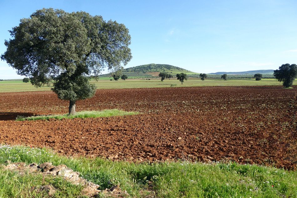 Nuevo mazazo para la credibilidad empresarial de Quantum Minería: Sí a la Tierra Viva denuncia a la promotora del proyecto de exploración de tierras raras en Ciudad Real por insolvencia técnica y financiera