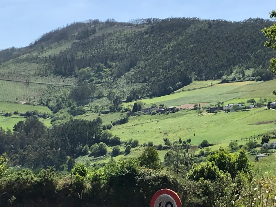 La Coordinadora Ecoloxista d’Asturies se opone a una nueva linea de alta tensión en la Reserva Rio Eo, Oscos y Terras de Buron