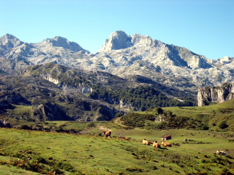 Reclaman medidas para asegurar la coexistencia de las especies silvestres y las actividades humanas