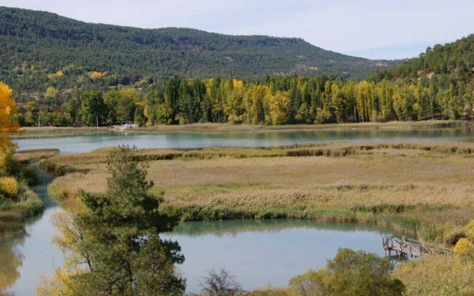 Organizaciones ambientales reclaman un plan de gestión de ZEPA en Castilla-La Mancha compatible con la biodiversidad