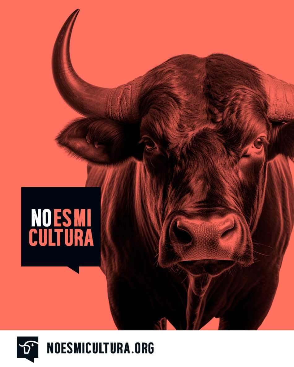 La Coordinadora Castilla-La Mancha Antitaurina iniciará una campaña de recogida de firmas para retirar el  blindaje patrimonial que tiene la tauromaquia desde 2013