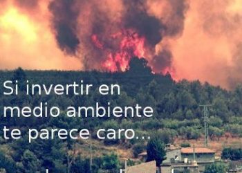 Verdes de Europa-Tarifa solicita una investigación al Ministerio de Transición Ecológica sobre el Incendio de 600 hectáreas en “La Peña”