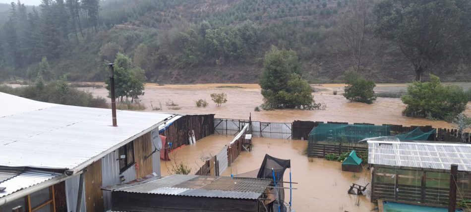 Curanilahue: «Por el temporal, las viviendas que levantamos en la toma ya están cubiertas por más de un metro de agua»