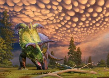 Hallado un nuevo dinosaurio con cuernos gigantes