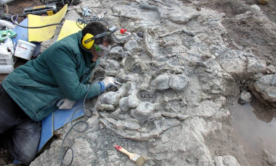 Nuevos fósiles de Teruel redefinen la clasificación de los estegosaurios