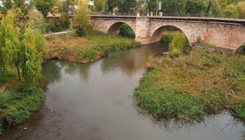 El Ayuntamiento de Mejorada del Campo promueve un puente sobre el río Henares que aumentará molestias e impactos sobre zonas protegidas