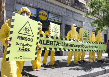 Escándalo de antibióticos: Activistas protestan en Madrid para exigir a Lidl el fin del hacinamiento de los pollos