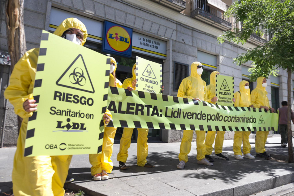 Escándalo de antibióticos: Activistas protestan en Madrid para exigir a Lidl el fin del hacinamiento de los pollos
