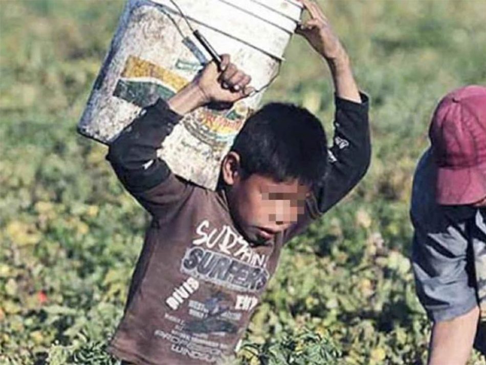 Denuncian explotación laboral infantil en Uruguay