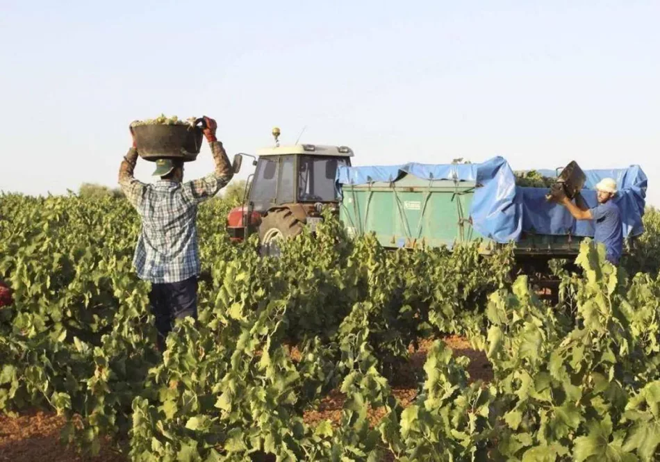 UED propone un nuevo seguro agrícola que no excluya a los agricultores