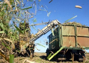 Cuba ejecutará con inversión extranjera 16 proyectos para modernizar centrales azucareros