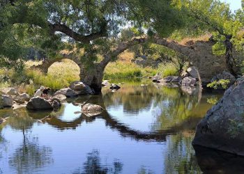 Reivindicación de los valores del río Alcollarín y el Molino del Portugués en el Día Internacional del Medio Ambiente