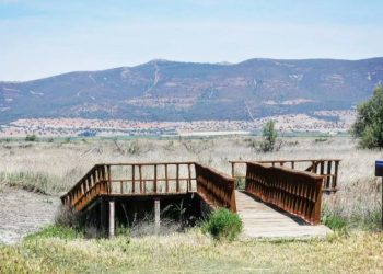 Alianza Verde celebra la aprobación de la Ley para la Restauración de la Naturaleza por el Consejo de la Unión Europea 