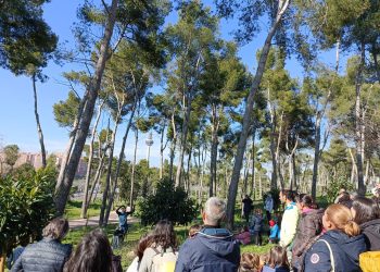 El Ayuntamiento de Madrid proyecta convertir el Pinar de La Elipa en un “parque duro” con amplias zonas pavimentadas