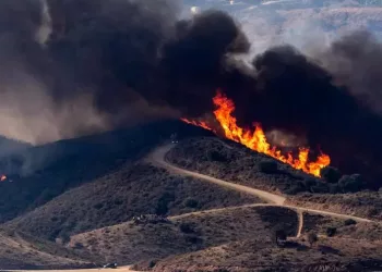 Verdes EQUO lleva al Parlamento andaluz la falta de ejecución presupuestaria en materia de prevención de incendios forestales