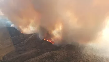 Denuncian la dejación de la administración en el fuego producido en Puebla del Maestre