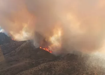 Denuncian la dejación de la administración en el fuego producido en Puebla del Maestre