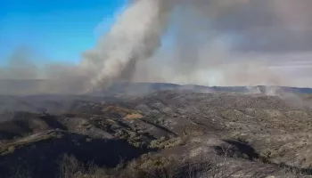 Ecologistas en Acción denuncia, una vez más, la desidia del Ejército de Tierra en la protección de la Sierra tras un nuevo incendio en Cerro del Muriano (Córdoba)