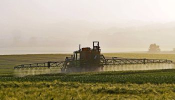 Detectados pesticidas prohibidos en Doñana y las Tablas de Daimiel