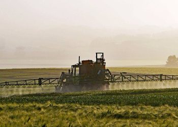 Detectados pesticidas prohibidos en Doñana y las Tablas de Daimiel